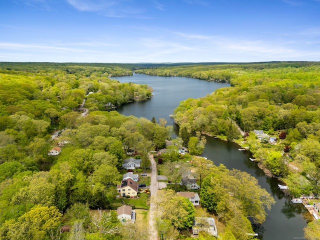 17 Glimmer Gln, East Haddam, CT 06415 - aerial view of a heavily wooded area and a nearby body of water