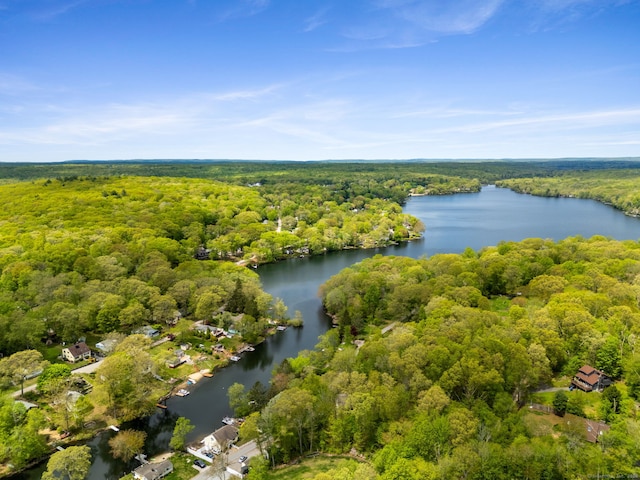 17 Glimmer Gln, East Haddam, CT 06415 - drone / aerial view of a heavily wooded area and a nearby body of water