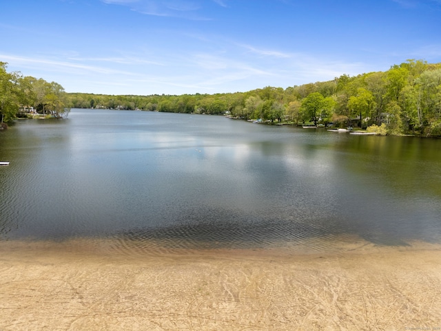 17 Glimmer Gln, East Haddam, CT 06415 - water view with a forest