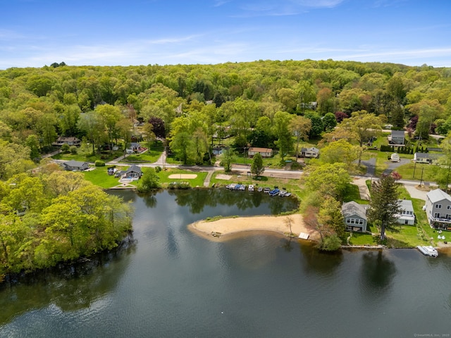 17 Glimmer Gln, East Haddam, CT 06415 - bird's eye view of a large body of water and a forest