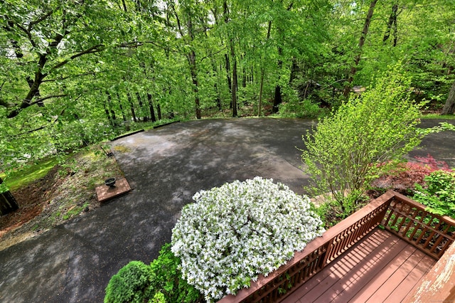 1540 Paradise Ave, Hamden, CT 06514 - view of yard featuring a deck
