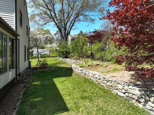 view of yard