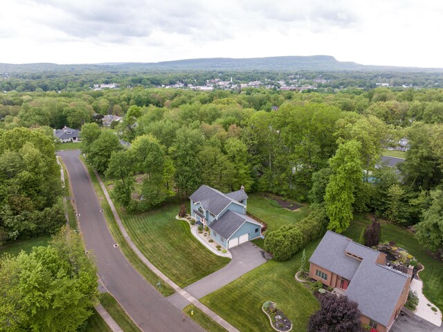 39 Amato Cir, Southington, CT 06489 - bird's eye view of a forest