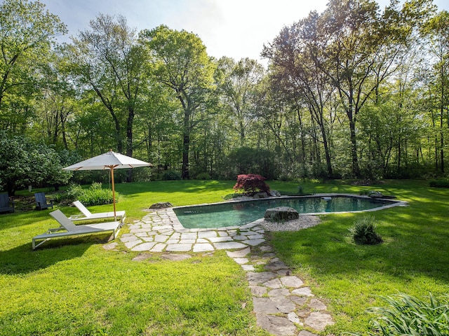 19 Spargo Rd, Roxbury, CT 06783 - outdoor pool with a yard and a patio