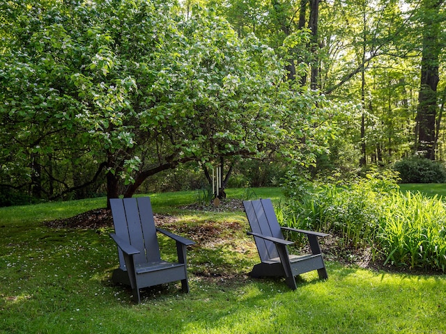 19 Spargo Rd, Roxbury, CT 06783 - view of grassy yard