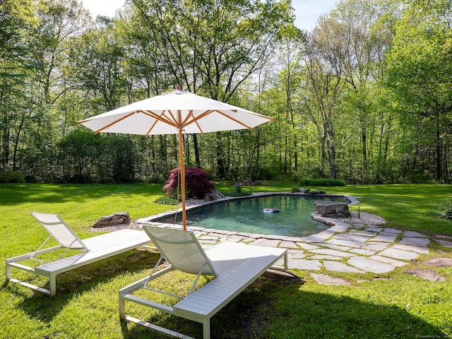 19 Spargo Rd, Roxbury, CT 06783 - swimming pool with a lawn