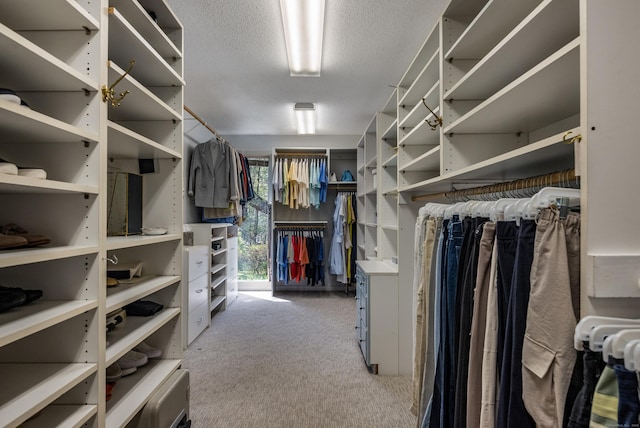 spacious closet featuring carpet floors