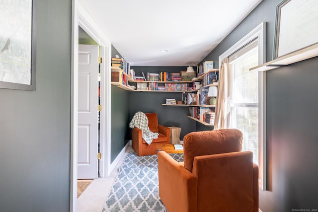 130 Upper Whittemore Rd, Middlebury, CT 06762 - view of living area