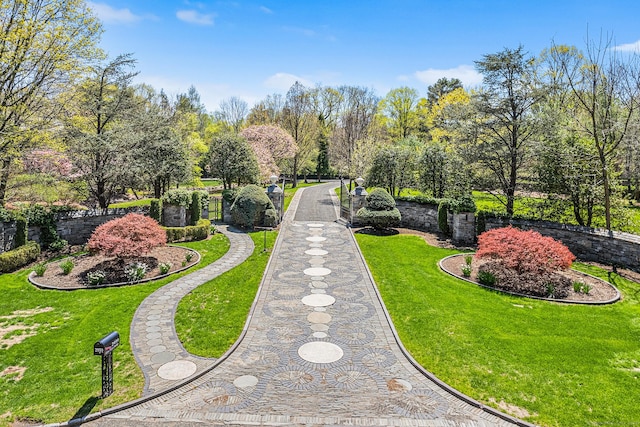 surrounding community featuring a yard