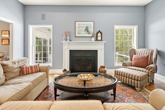 living area with wood finished floors, a fireplace, and baseboards