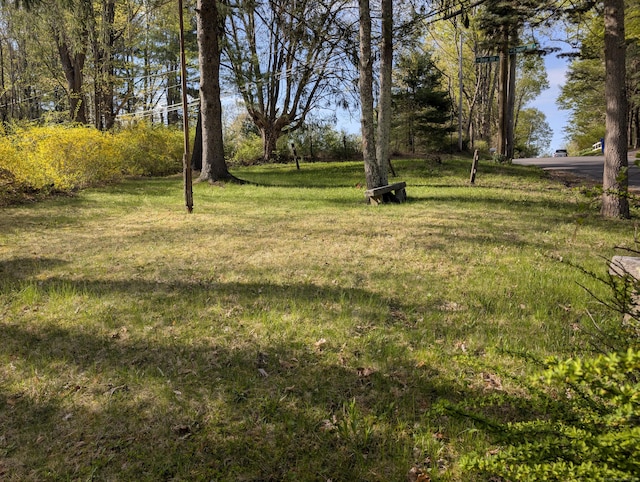 2 Chapel Hill Rd, New Milford, CT 06776 - view of yard