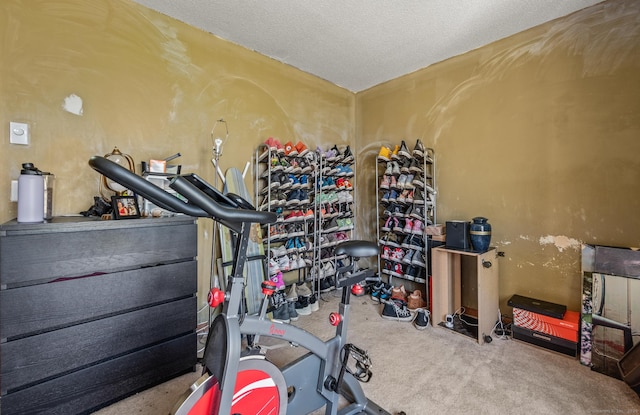 25 Deerwood Ln Unit 8, Waterbury, CT 06704 - exercise area featuring carpet flooring and a textured ceiling