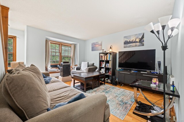 25 Deerwood Ln Unit 8, Waterbury, CT 06704 - living area with light wood finished floors