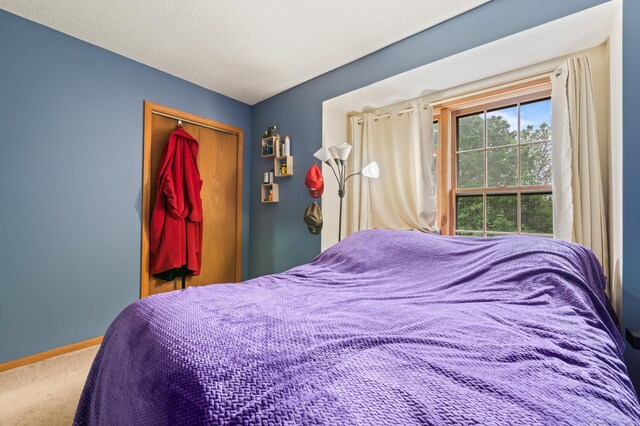 25 Deerwood Ln Unit 8, Waterbury, CT 06704 - bedroom featuring carpet flooring, baseboards, and a closet
