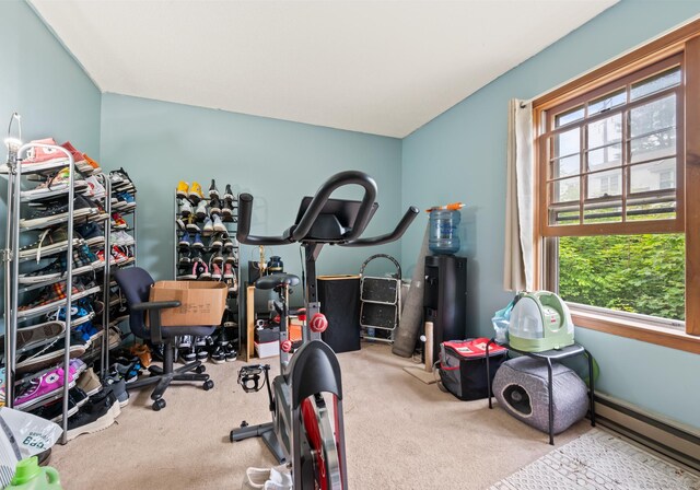 25 Deerwood Ln Unit 8, Waterbury, CT 06704 - workout room featuring baseboard heating and carpet floors