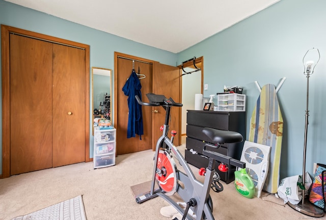 25 Deerwood Ln Unit 8, Waterbury, CT 06704 - exercise area with carpet flooring