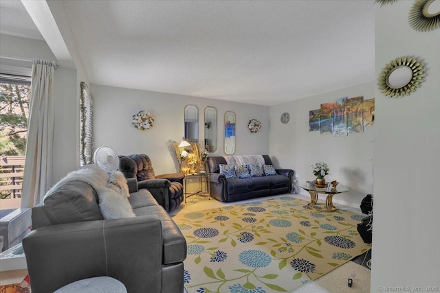 living area with carpet and a textured ceiling