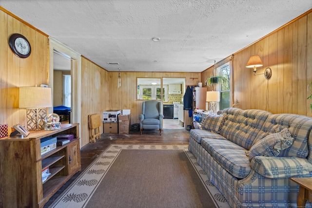 living area with wooden walls, a textured ceiling, and a healthy amount of sunlight