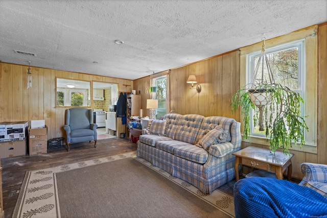 living area with wooden walls and a wealth of natural light