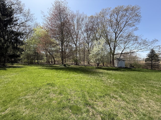 view of yard with an outbuilding and a shed