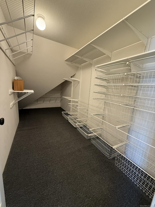 walk in closet featuring carpet