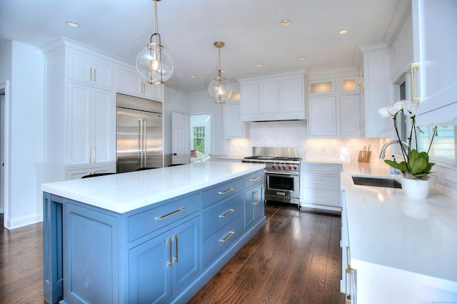 9 November Trl, Weston, CT 06883 - kitchen featuring high quality appliances, white cabinets, dark wood-style flooring, and recessed lighting