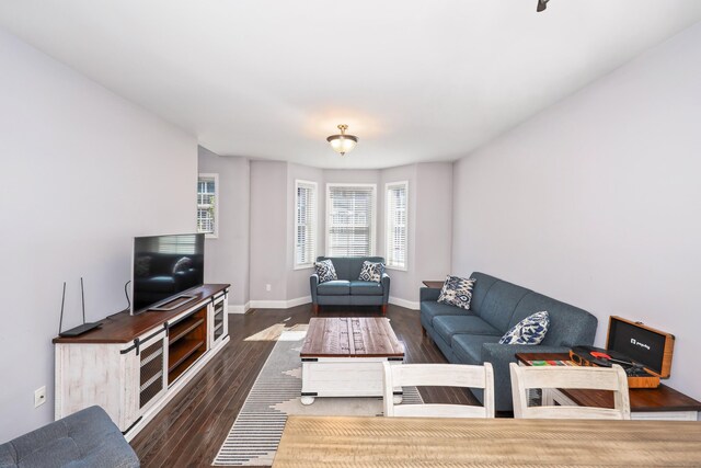 living room with baseboards and wood finished floors