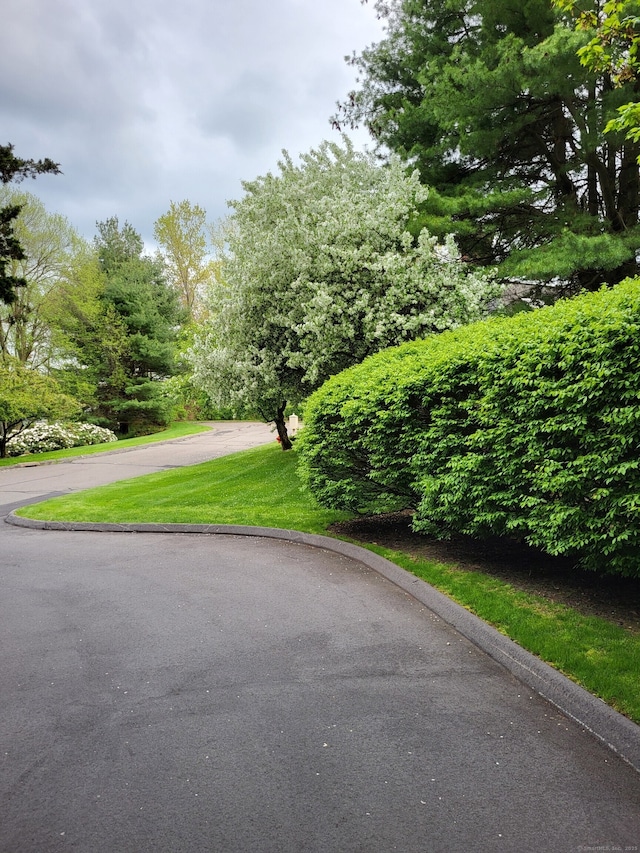 view of property's community
