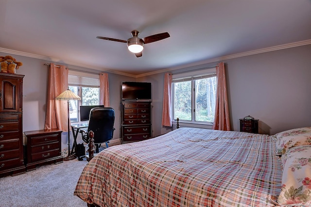 189 Red Stone Hl Unit 17, Bristol, CT 06010 - bedroom with crown molding, light colored carpet, and multiple windows