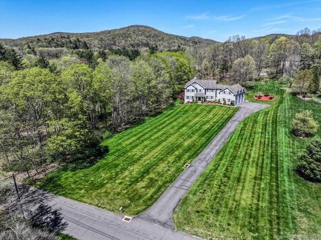 bird's eye view featuring a mountain view and a wooded view