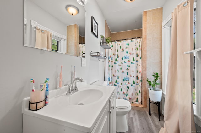 10 Gilmour St, Norwich, CT 06360 - full bathroom with vanity, wood finished floors, toilet, and tiled shower
