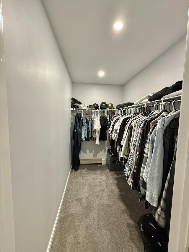 33 Steep Hill Rd, Seymour, CT 06483 - walk in closet with carpet floors