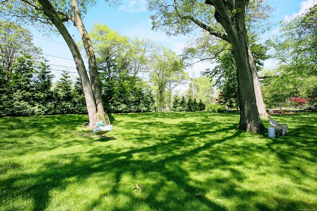 95 Brighton View Rd, Fairfield, CT 06824 - view of grassy yard