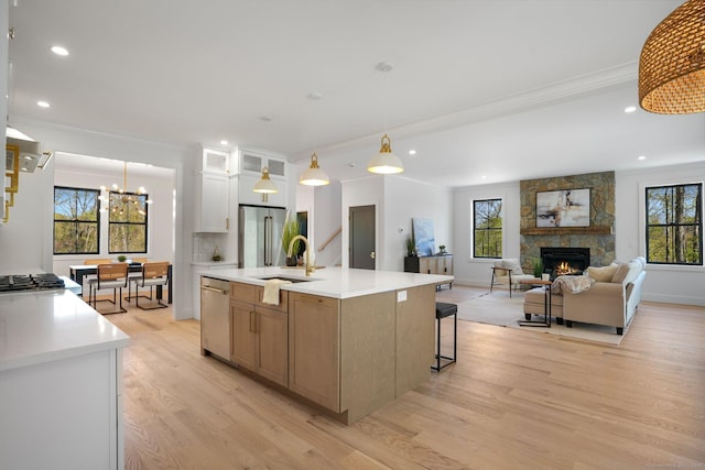 kitchen with a fireplace, light wood-style floors, light countertops, a sink, and stainless steel appliances