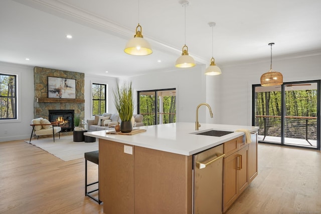 kitchen featuring light wood-type flooring, a sink, a wealth of natural light, and light countertops