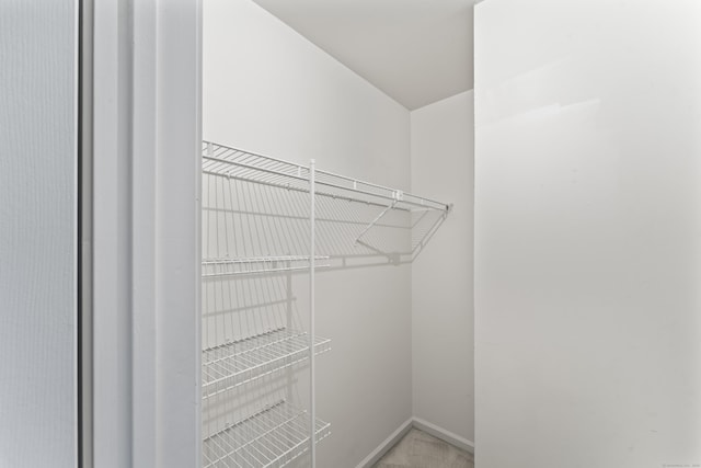 12 Boulevard Dr Unit 21-130, Danbury, CT 06810 - walk in closet with light carpet