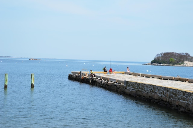 view of water feature featuring a boat dock
