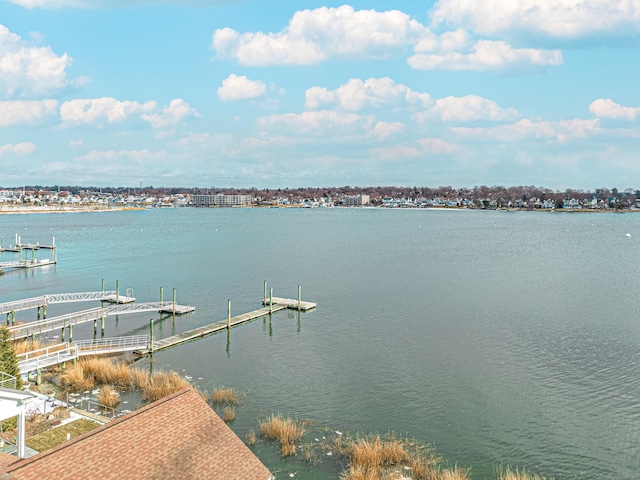 view of water feature with a dock