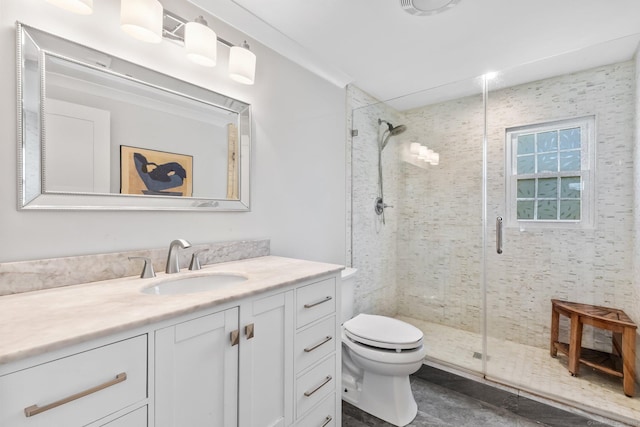 bathroom with vanity, a stall shower, and toilet
