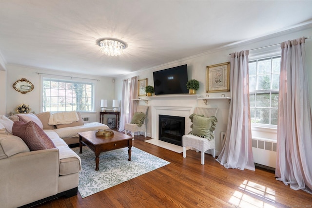 living area with a fireplace with flush hearth, radiator, wood finished floors, and a notable chandelier