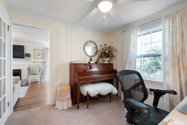 living area with crown molding, plenty of natural light, a fireplace, and ceiling fan