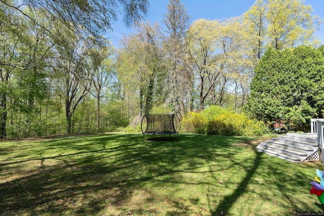 view of yard featuring a trampoline