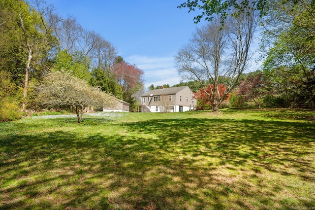 view of yard