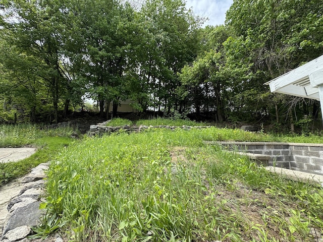 59 Fairfax St, Waterbury, CT 06704 - view of yard