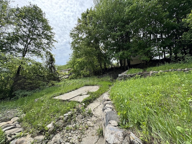59 Fairfax St, Waterbury, CT 06704 - view of yard
