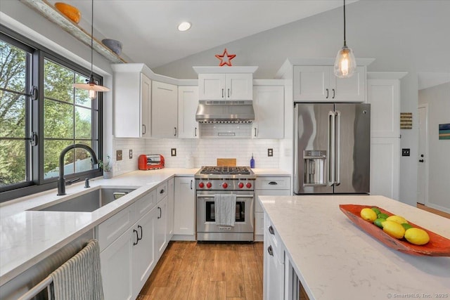 kitchen featuring a sink, a healthy amount of sunlight, lofted ceiling, under cabinet range hood, and premium appliances
