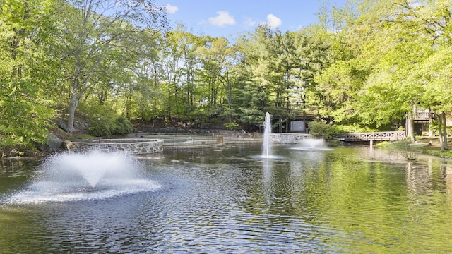 water view