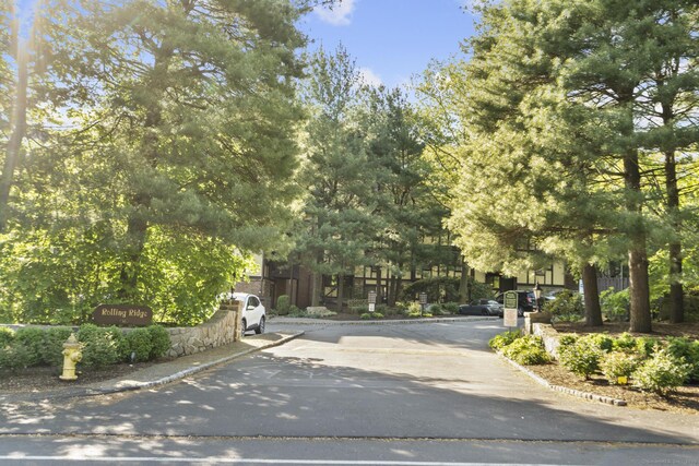 view of road featuring curbs