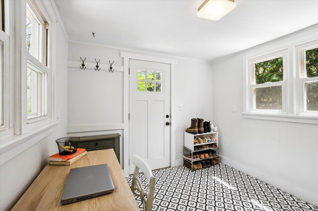 mudroom featuring a healthy amount of sunlight and crown molding