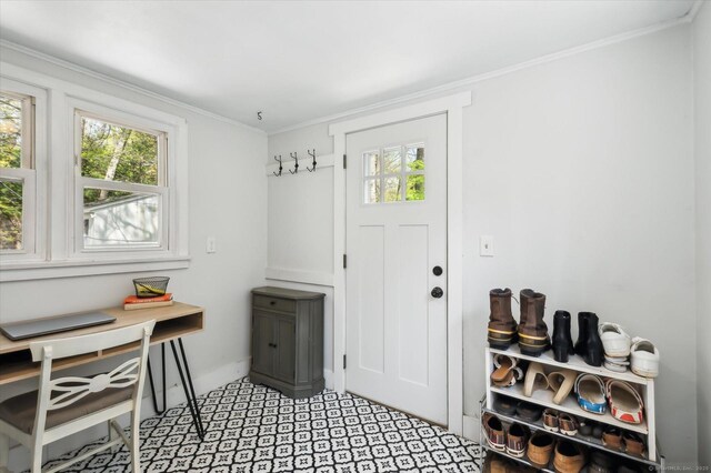 mudroom featuring crown molding, light floors, and a wealth of natural light